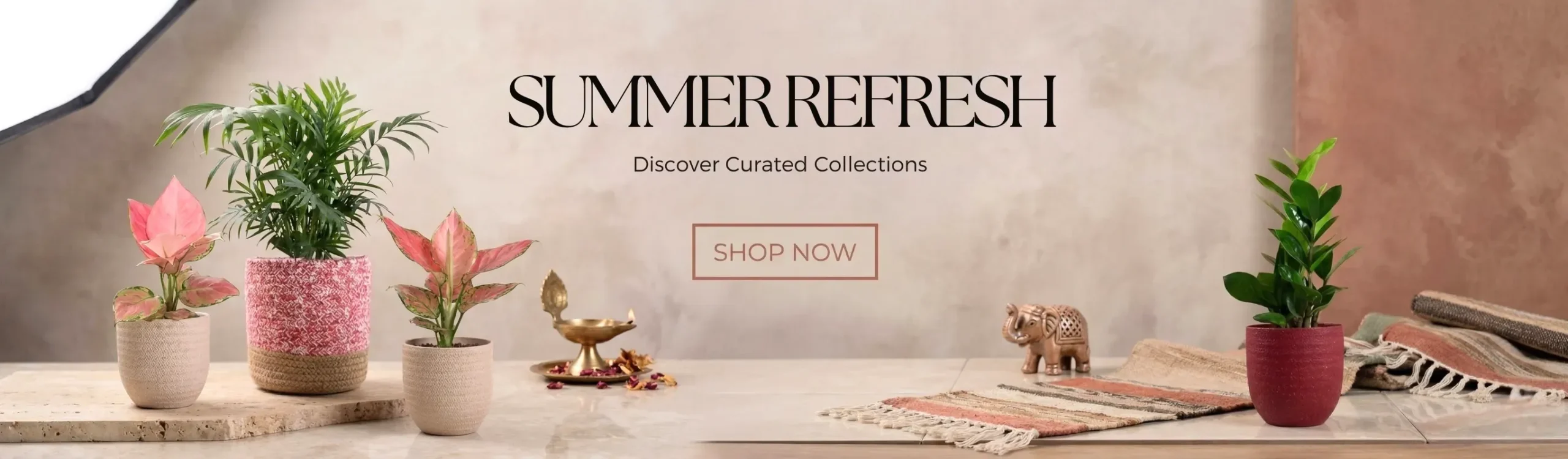 imgi_3_indoor-plant-plants-SUMMER-month-sale-2026-banner-d-greenkin