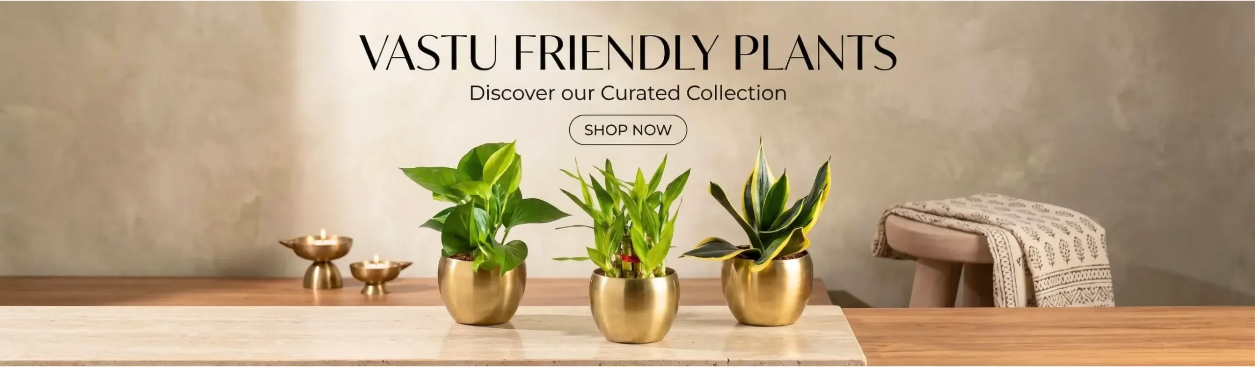 imgi_4_vastu-plants-april-month-sale-2026-banner-d-greenkin
